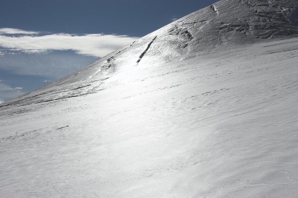 2006-08-10-08.49.38 Fluchthorn best off